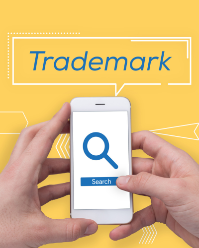 Trademark Portfolio Attorney